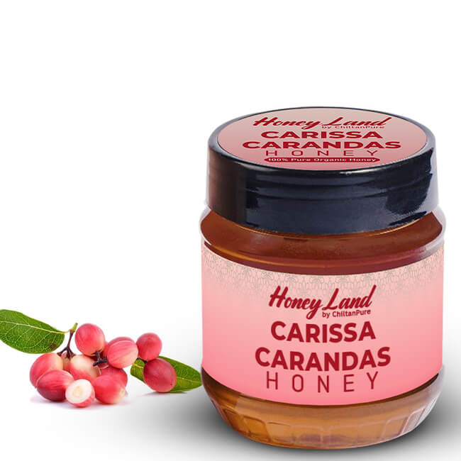 Carissa Carandas Honey – Stress less & choose the best, improves digestion, reduces fever, strengthens cardiac muscles – Health package 100% organic 450g