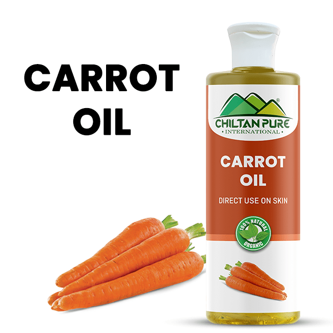 Carrot Oil – Reduces wrinkles & removes acne scars, contains anti-bacterial properties 100% pure organic [Infused] 250ml - ChiltanPure