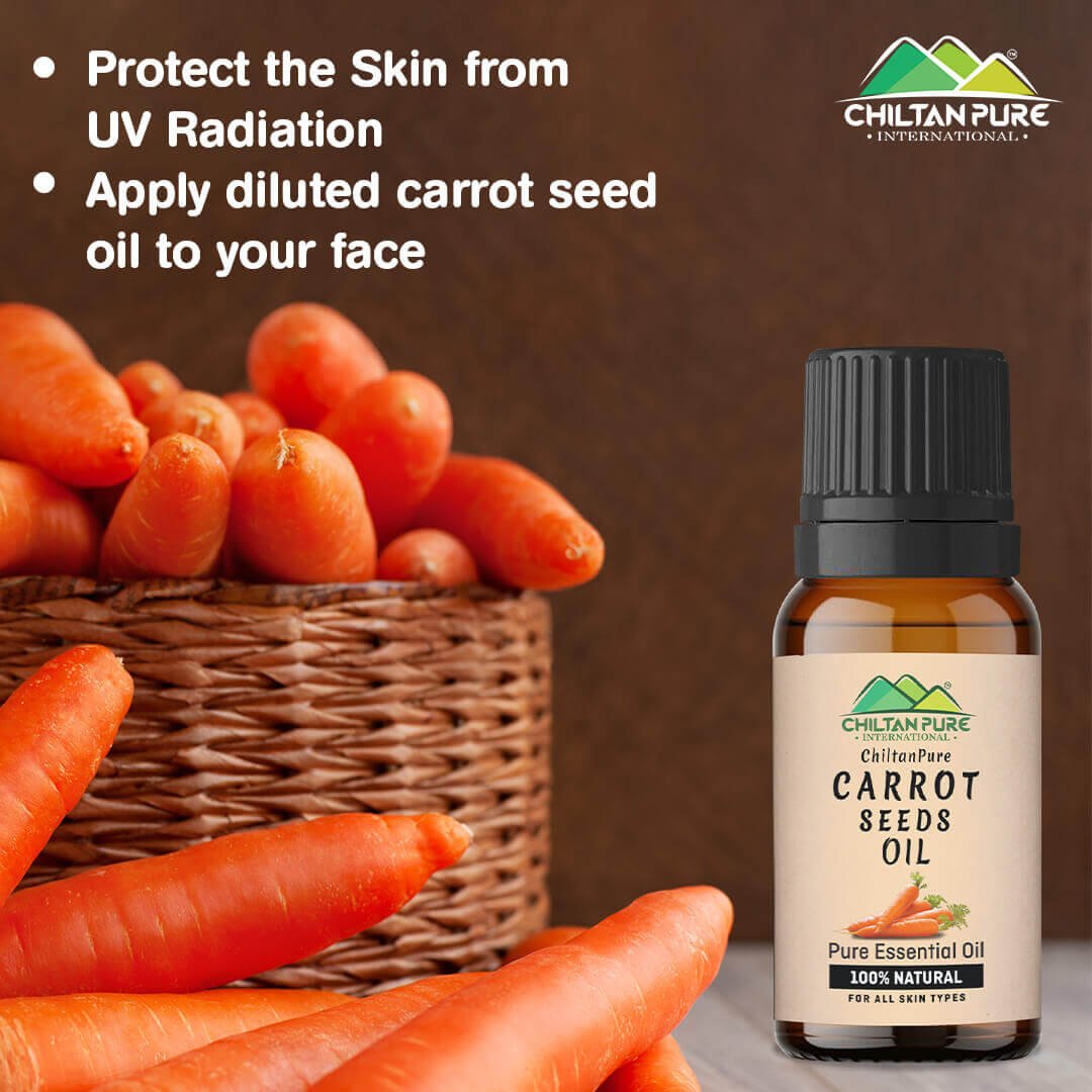 Carrot Seed Essential Oil – Natural Stimulant, Detoxifies Blood, Improves Complexion & Provides Relief from Stress 20ml - ChiltanPure