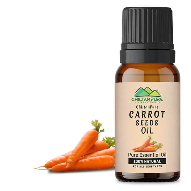 Carrot Seed Essential Oil – Natural Stimulant, Detoxifies Blood, Improves Complexion & Provides Relief from Stress 20ml - ChiltanPure