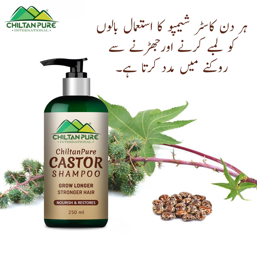 Castor Shampoo – Helps Moisturize & Regrow Strong Healthy Hair [ارنڈی] 250ml - ChiltanPure