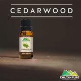 Cedarwood Essential Oil – Combats Hair Loss, Tightens Muscles, Natural Sedative & Antiseptic 20ml - ChiltanPure