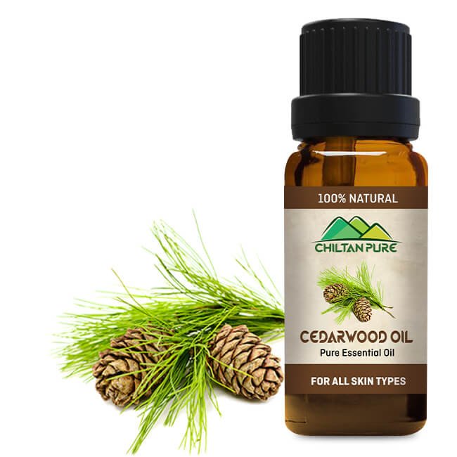 Cedarwood Essential Oil – Combats Hair Loss, Tightens Muscles, Natural Sedative & Antiseptic 20ml - ChiltanPure