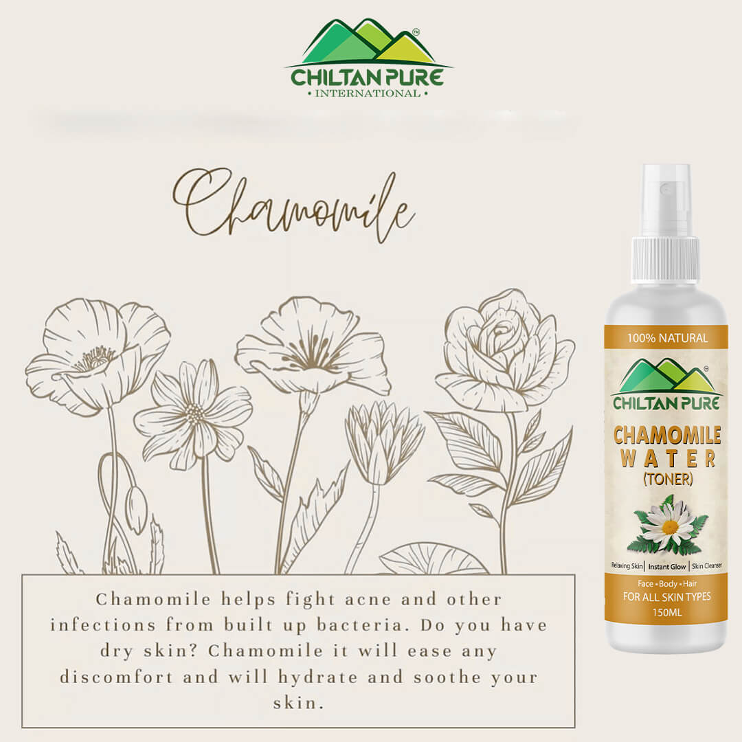 Chamomile Floral Water – Reduce Redness, Irritation, Makes Skin Soft & Radiant [Toner] 150ml - ChiltanPure