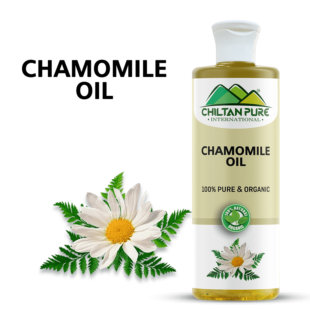 Chamomile Oil – Give Healthy Look to Your Face & Hair With This Majestic Liquid [بابونہ] 200ml - ChiltanPure