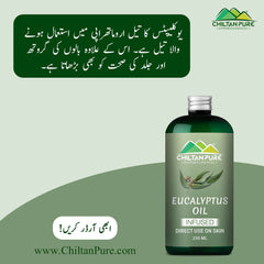 Eucalyptus Infused Oil – Prevents Acne, Soothes Dry Skin, Natural Stress Buster & Reduces Scalp Irritation 250ml - ChiltanPure