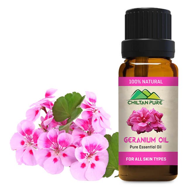 Geranium Essential Oil – Best Treatment for Insomnia [گل شمعدانی] 20ml - ChiltanPure