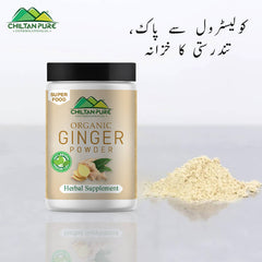 Ginger Powder – Fat Burner, Perfect Aid For Common Cold [ادرک] 200gm - ChiltanPure