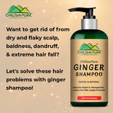 Ginger Shampoo – Reduce Hair Loss, Detoxifies Hair Strands, Prevents Scalp Itchiness & Restores Hair Manageability 250ml - ChiltanPure