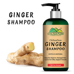 Ginger Shampoo – Reduce Hair Loss, Detoxifies Hair Strands, Prevents Scalp Itchiness & Restores Hair Manageability 250ml - ChiltanPure