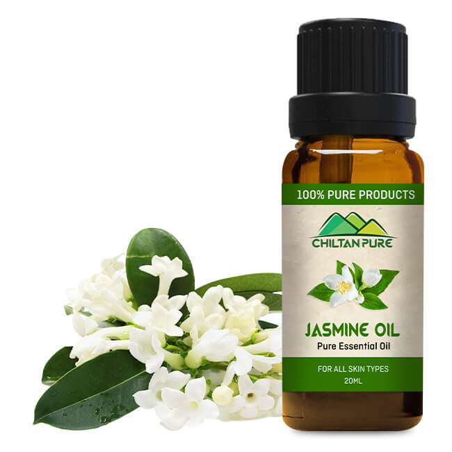 Jasmine Essential Oil – Best for Aromatherapy [چنبیلی] 20ml - ChiltanPure