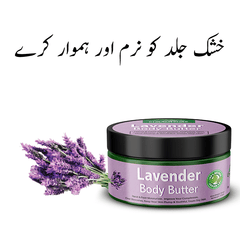 Lavender Body Butter – Keep Your Skin Plump & Youthful [اسطو خودوس] - ChiltanPure