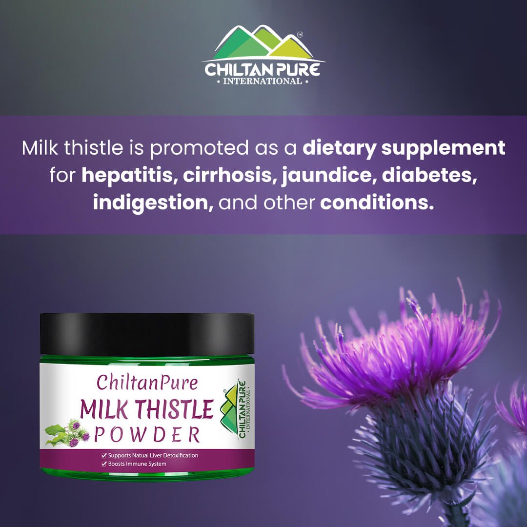 Milk Thistle Powder – Supports Natural Liver Detoxification, Boosts Milk Production & Immune System, Good for Bones - ChiltanPure