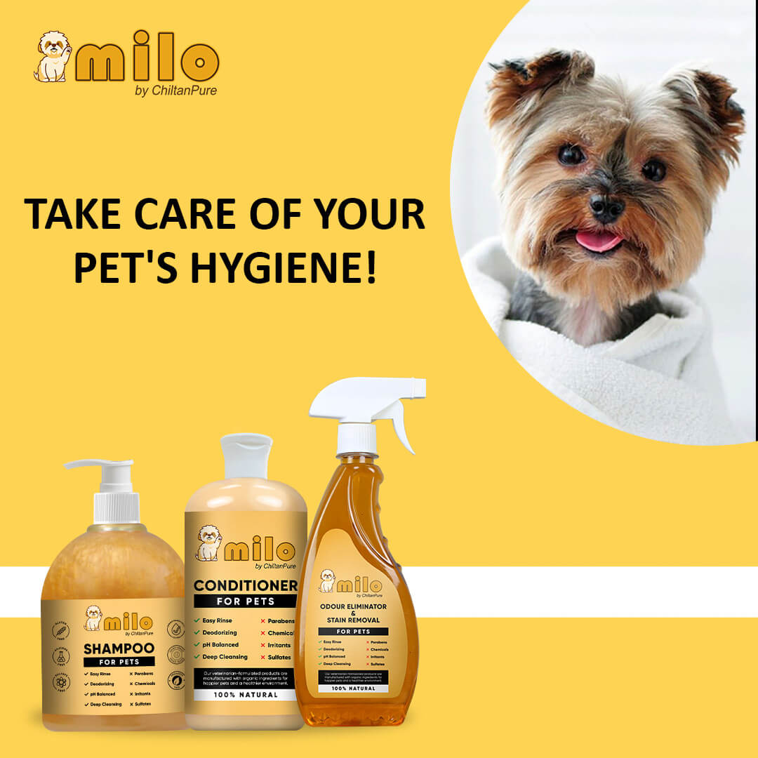 Milo Pet Care Kit – Pet Conditioner, Pet Shampoo, Pet Odour Eliminator & Stain Removal - ChiltanPure