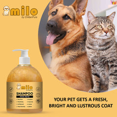 Milo Pet Shampoo – Anti-Dandruff, Gently Cleanse Hair, Avoid Shedding & Prevent Infections 500ml - ChiltanPure