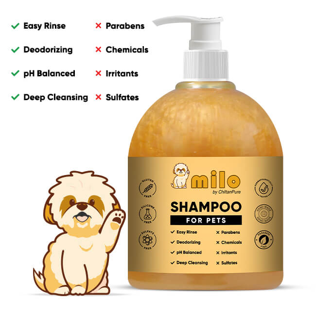 Milo Pet Shampoo – Anti-Dandruff, Gently Cleanse Hair, Avoid Shedding & Prevent Infections 500ml - ChiltanPure