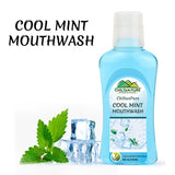 Mint Mouth wash - Improves Oral Health, Freshens Breath & Fights Germs - ChiltanPure