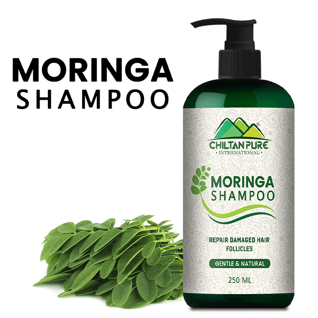 Moringa Shampoo – High Nourishing & Moisturizing Antioxidant Power - ChiltanPure