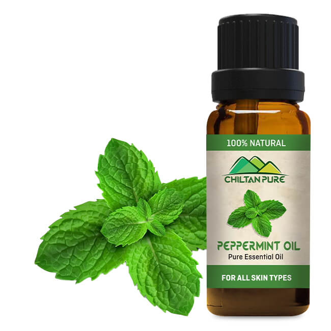 Peppermint Essential Oil - Enriched With Anti-Oxidants, Anti-Microbial &amp; Refreshing Properties [پودینہ] - ChiltanPure