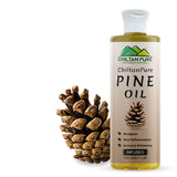 Pine Infused Oil – Decongestant, Circulation-Stimulating & Immune-Enhancing - ChiltanPure