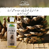 Pine Infused Oil – Decongestant, Circulation-Stimulating & Immune-Enhancing - ChiltanPure
