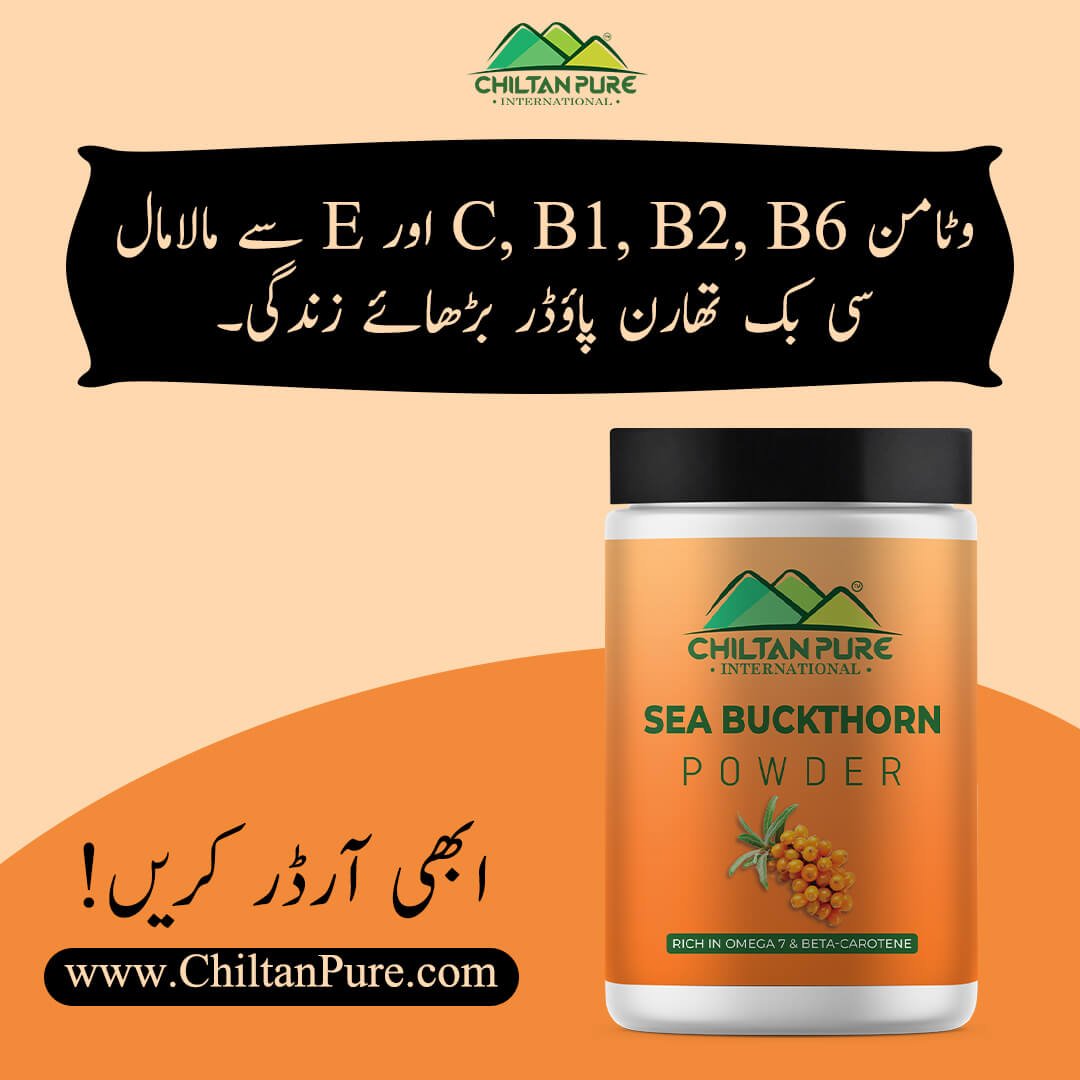 Sea Buckthorn Powder – Shop now for a healthy life style, Boosts immunity, Improves eye sight ,Prevents heart disease – 100% pure organic - ChiltanPure