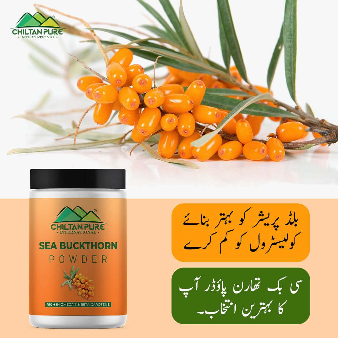 Sea Buckthorn Powder – Shop now for a healthy life style, Boosts immunity, Improves eye sight ,Prevents heart disease – 100% pure organic - ChiltanPure