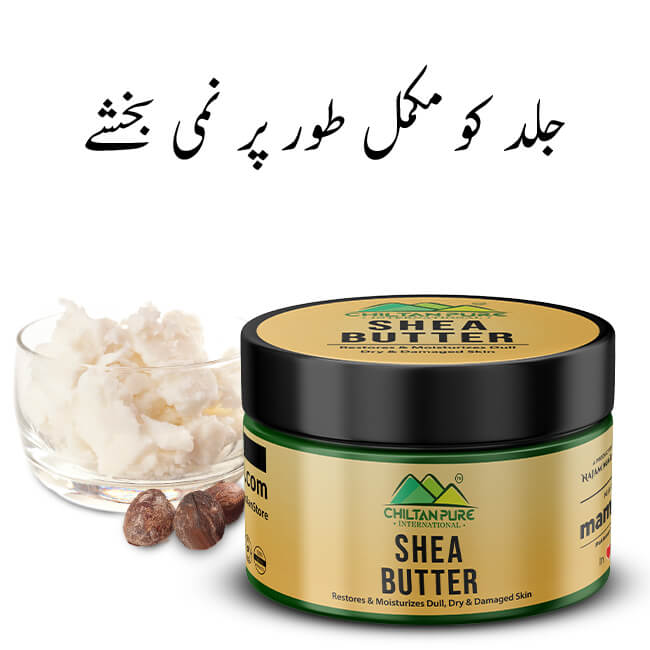 Shea Butter – Highly Moisturizing & Softens Skin - ChiltanPure