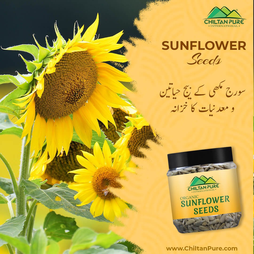 Sunflower Seeds – Excellent source of Vitamin B1, Vitamin B6, Iron, Copper, Selenium, Manganese, Zinc – 100% pure organic - ChiltanPure