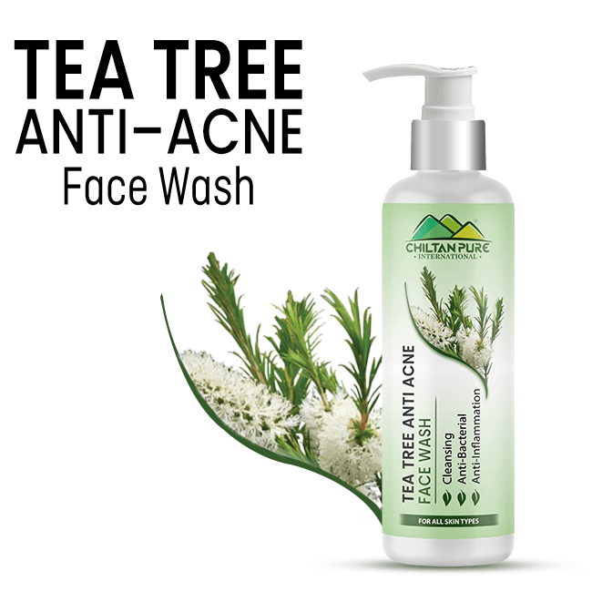 Tea Tree Anti Acne Face Wash – Prevents Acne Eruptions, Removes Excess Oil, Reduces Blackheads & Whiteheads - ChiltanPure