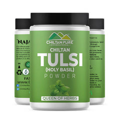 Tulsi (Holy Basil) Powder – Eat the best, rich in vitamin C, immune booster, Contains anti-bacterial & anti fungul properties – 100% pure organic - ChiltanPure