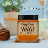 Wild Mountainous Honey - Pure &amp; Delicious (جنگلی شہد) - ChiltanPure