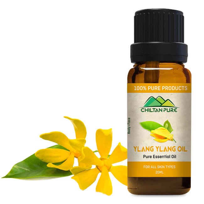 Ylang Ylang Essential Oil - Best for Removal of Scars [یلانگ یلانگ] - ChiltanPure